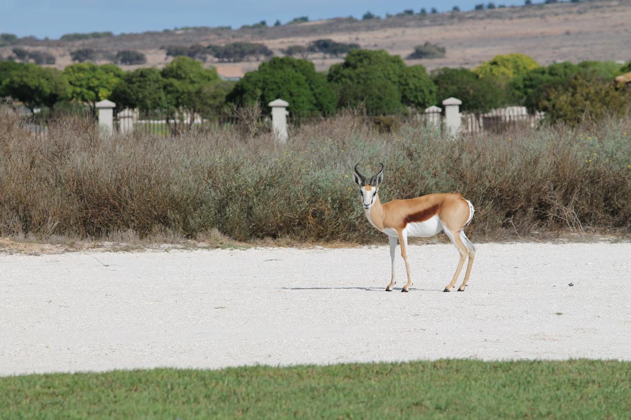 Langebaan Country Estate Apartment Luaran gambar